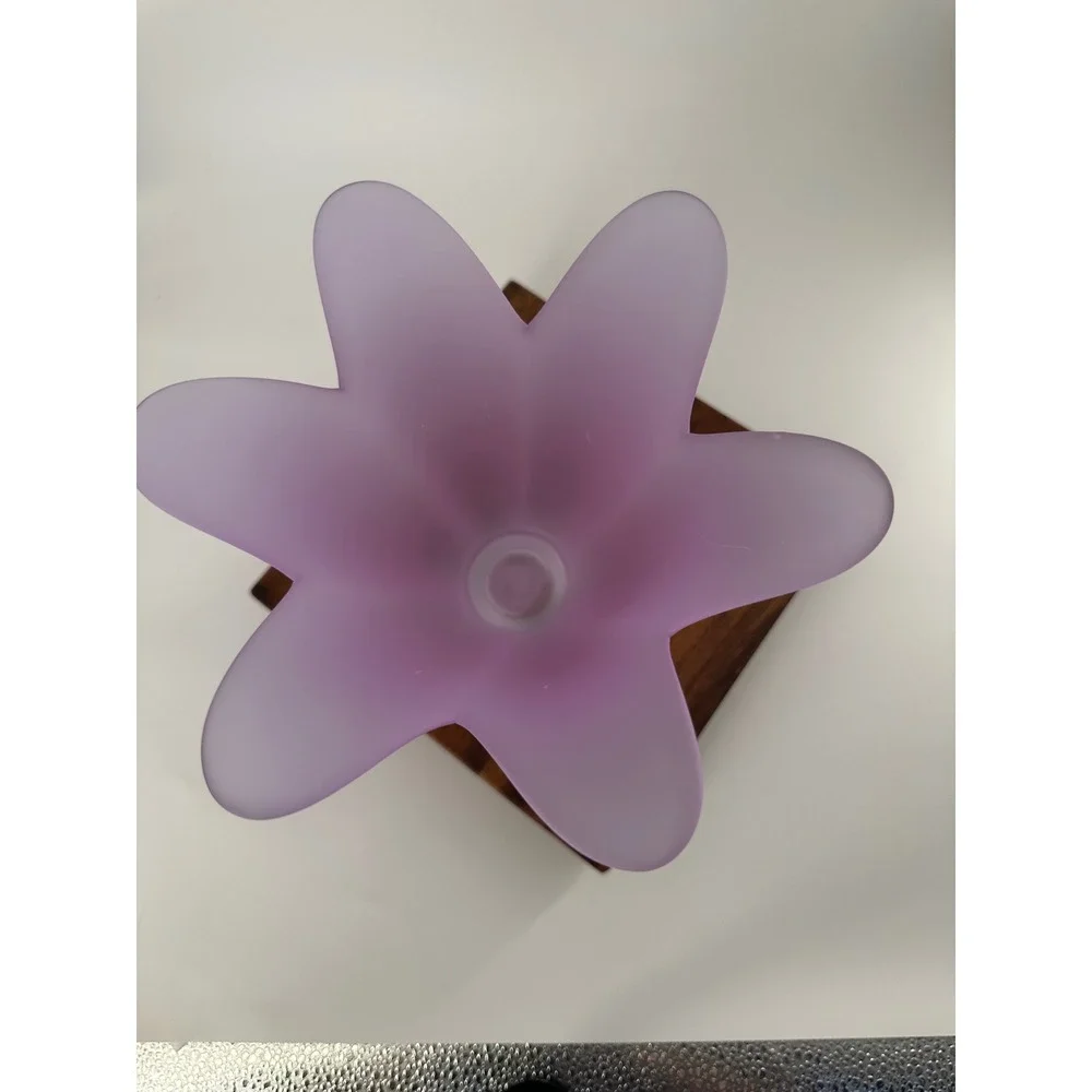 N/A frosted glass